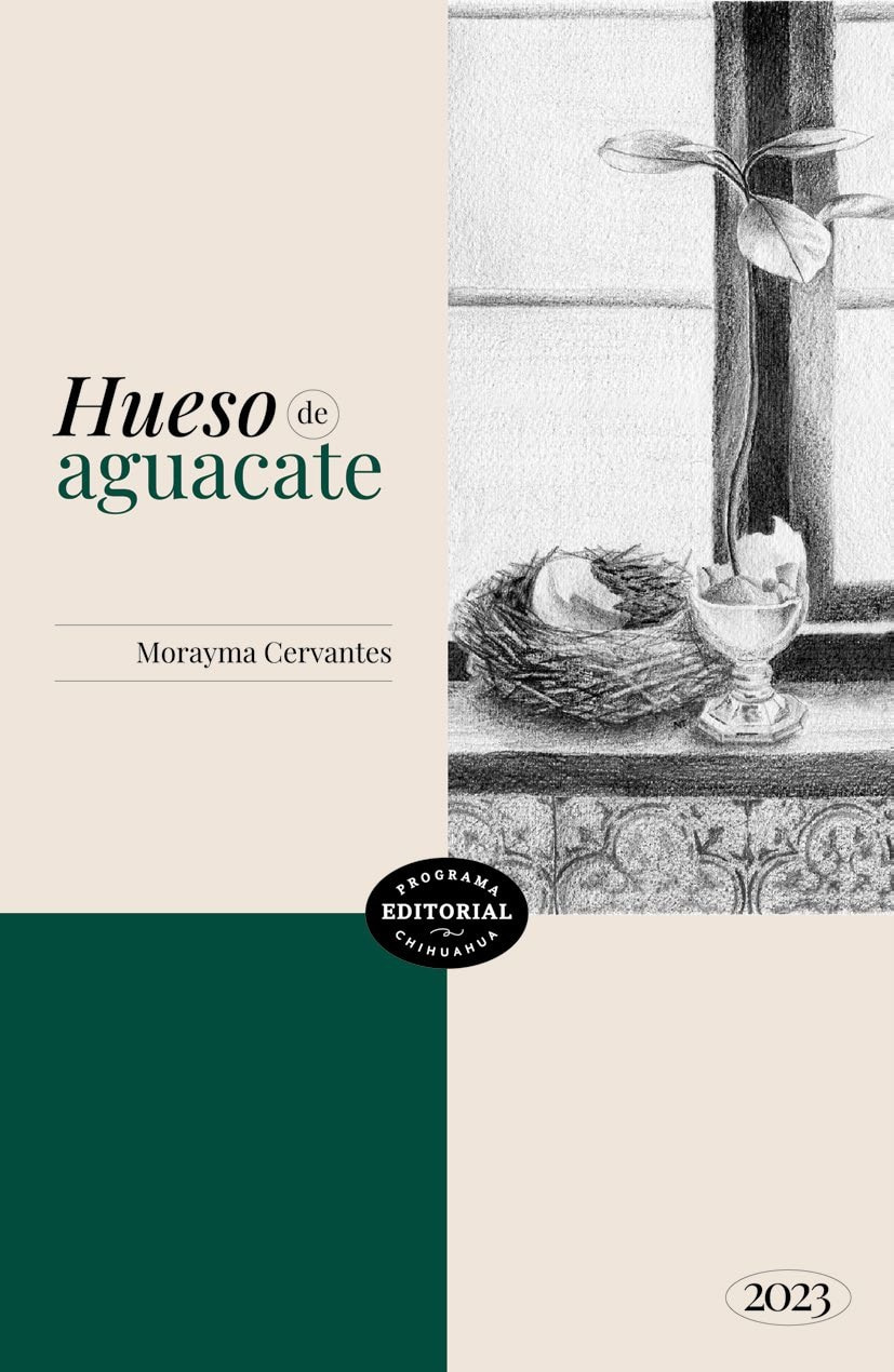 Portada de Hueso de aguacate